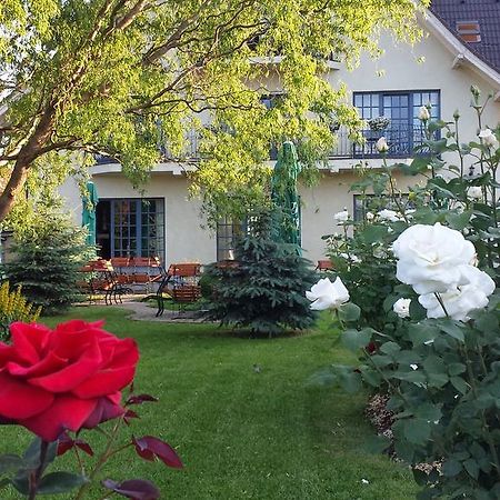 Villa Westfalia Guest House Tîrgu Secuiesc Esterno foto