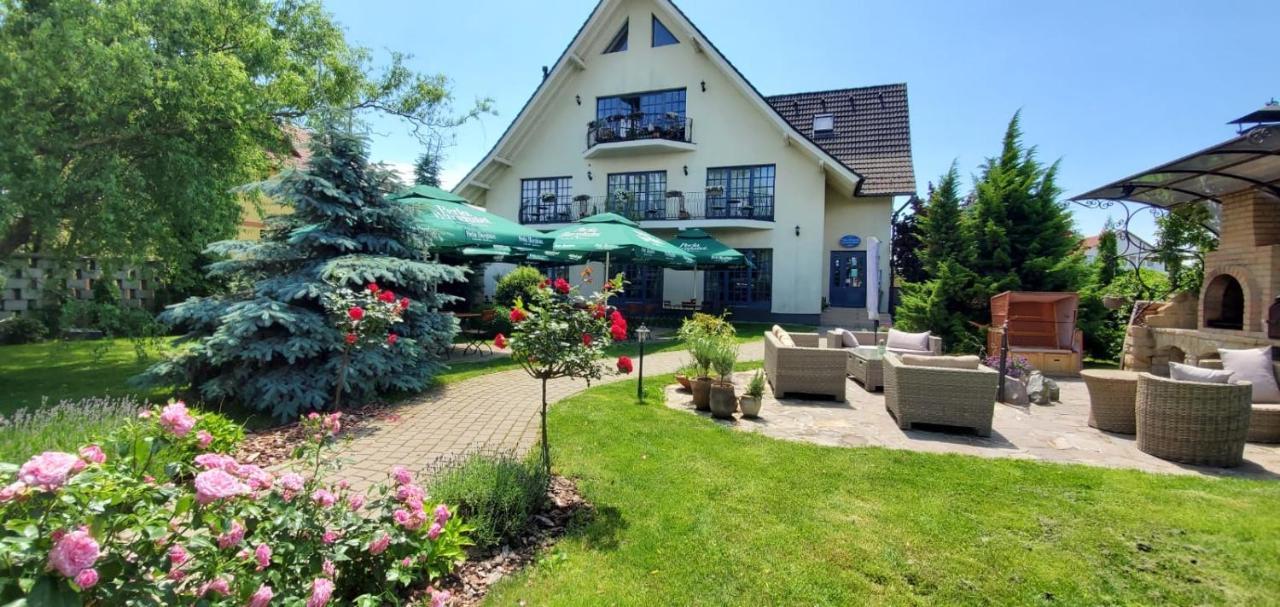 Villa Westfalia Guest House Tîrgu Secuiesc Esterno foto