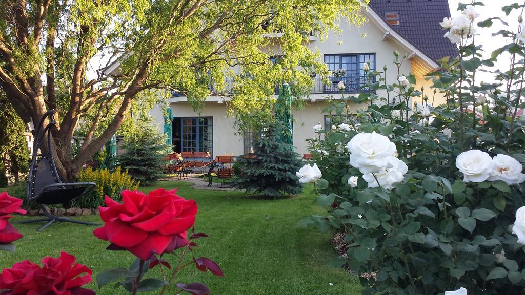 Villa Westfalia Guest House Tîrgu Secuiesc Esterno foto