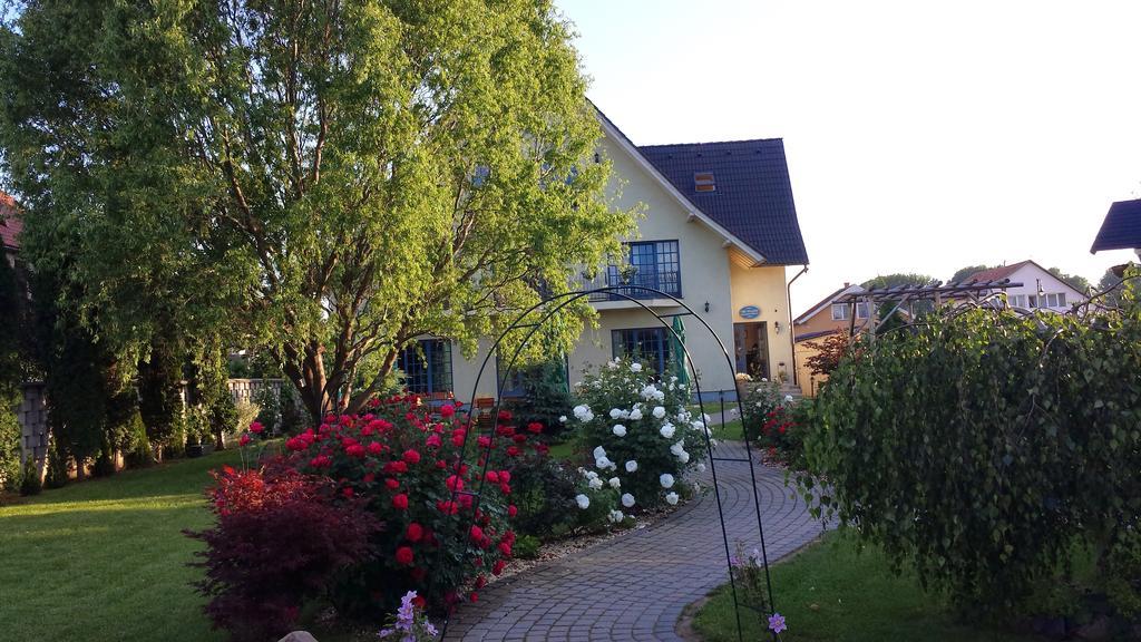 Villa Westfalia Guest House Tîrgu Secuiesc Esterno foto